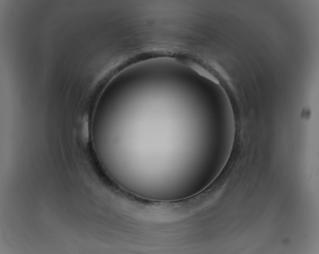 X0000093250020200710031613