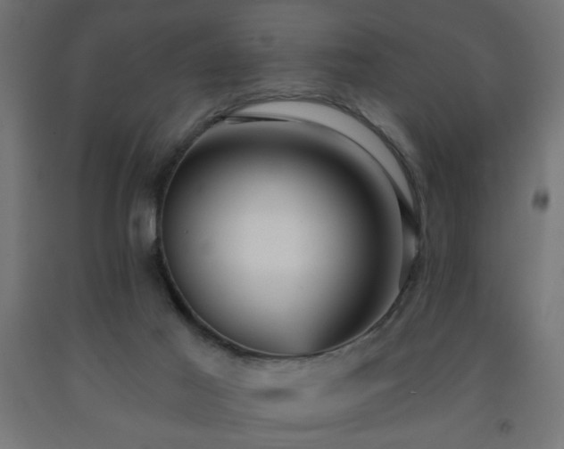 X0000093250021200710031613