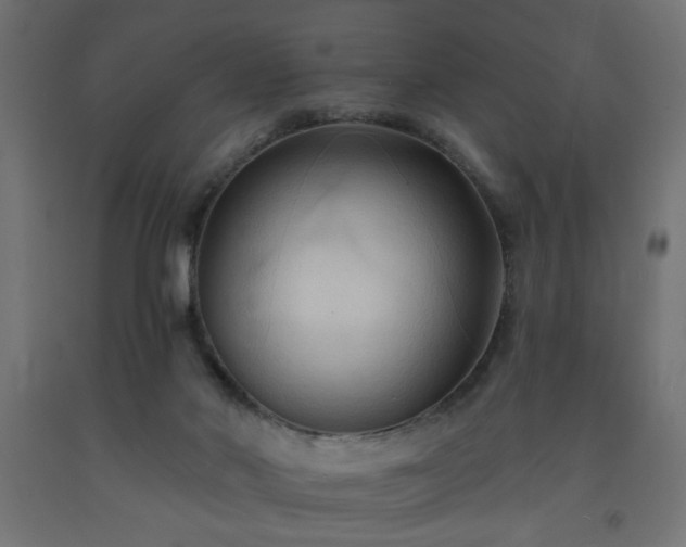 X0000093250022200710031613