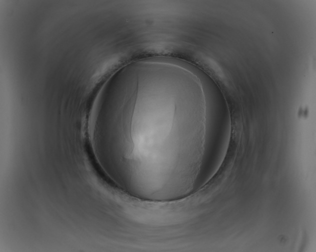 X0000093250023200710031613