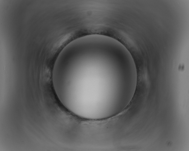 X0000093250025200710031613