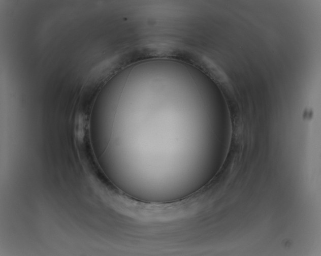 X0000093250026200710031613