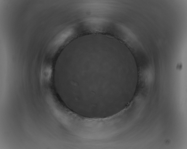 X0000093250029200710031613