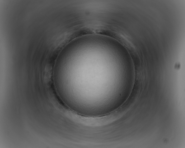 X0000093250030200710031613