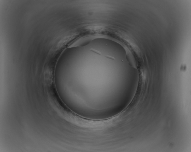 X0000093250031200710031613