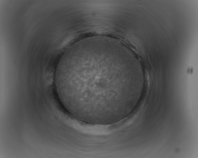 X0000093250032200710031613