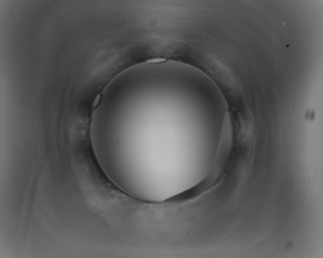 X0000093250033200710031613