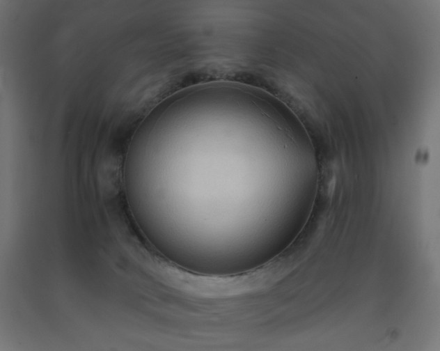 X0000093250034200710031613