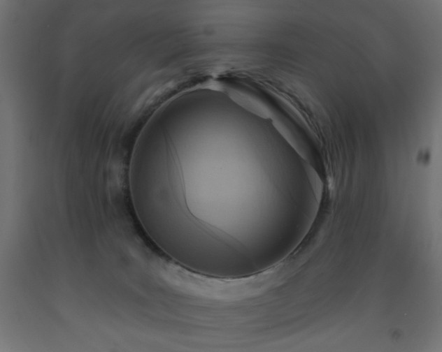 X0000093250035200710031613