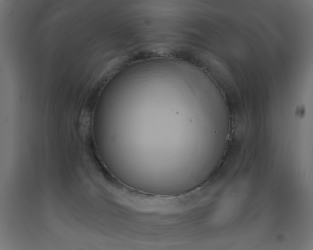 X0000093250036200710031613