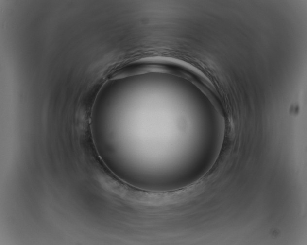 X0000093250037200710031613