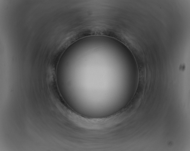 X0000093250038200710031613