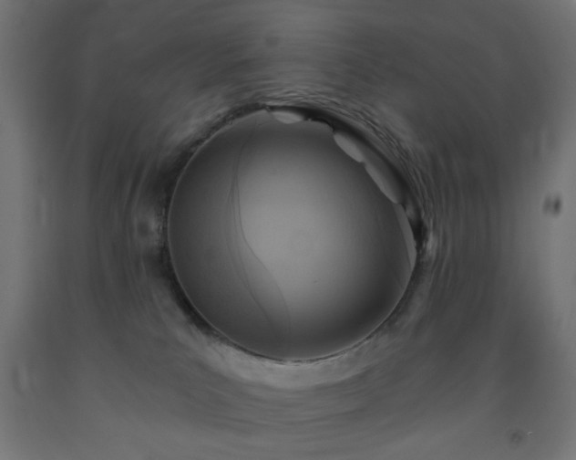 X0000093250039200710031613