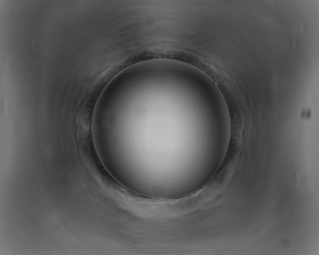 X0000093250040200710031613