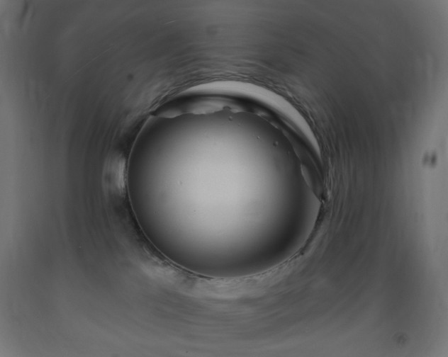 X0000093250041200710031613