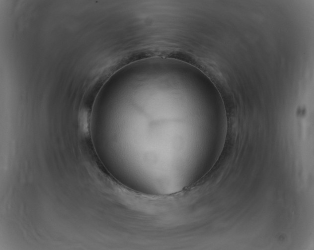 X0000093250042200710031613