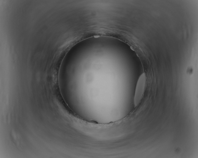 X0000093250043200710031613