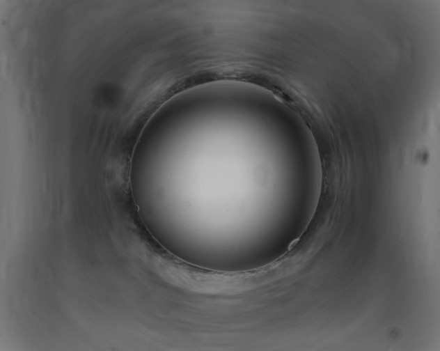 X0000093250044200710031613