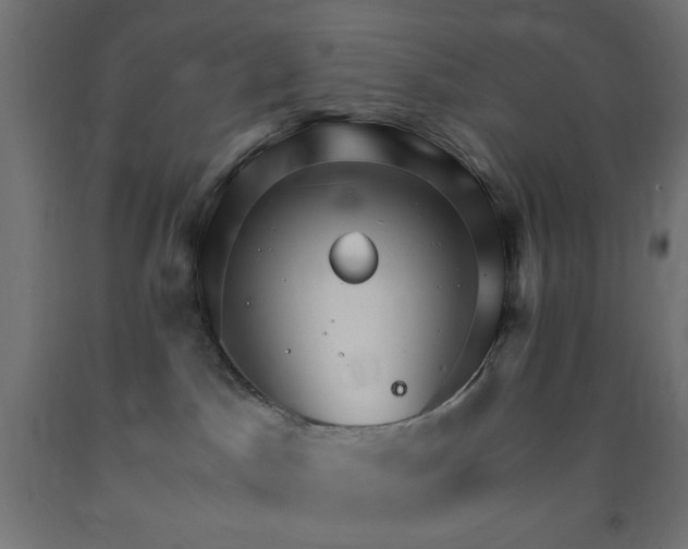 X0000093250045200710031613