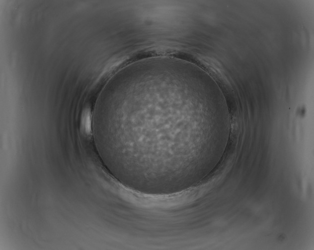 X0000093250046200710031613