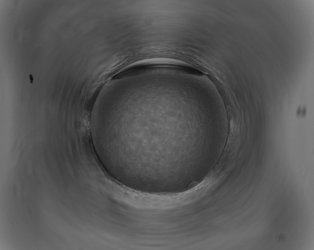 X0000093250048200710031613