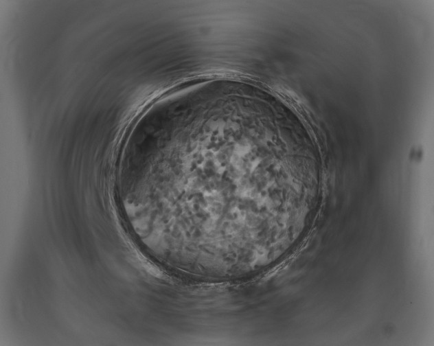 X0000093250049200710031612