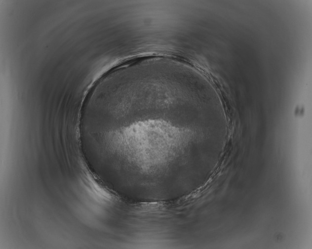 X0000093250050200710031612