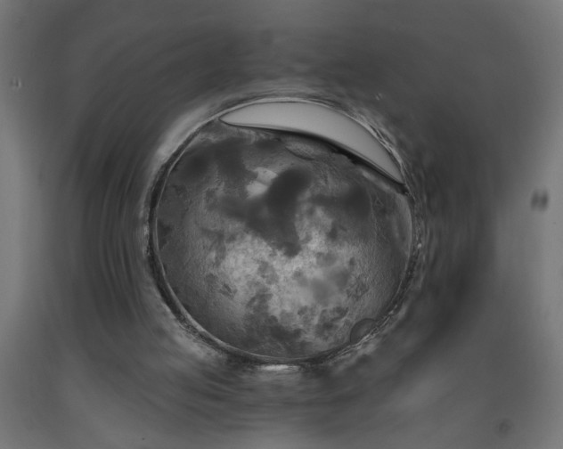 X0000093250053200710031612