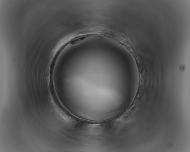 X0000093250054200710031612