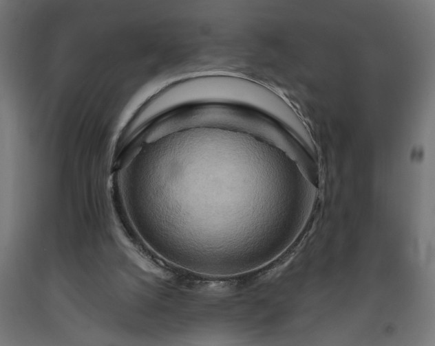 X0000093250056200710031613