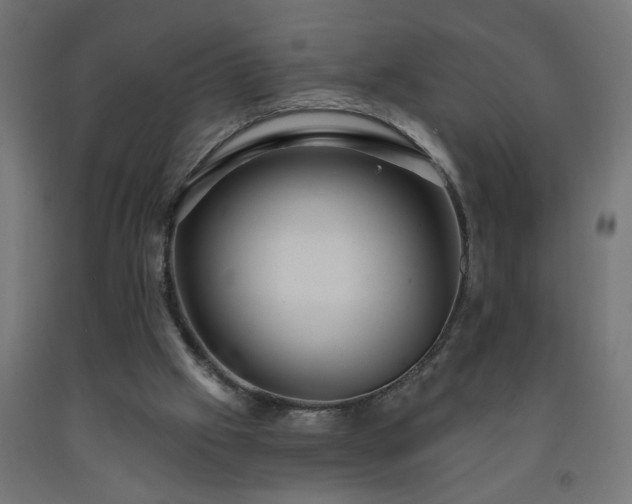 X0000093250057200710031613