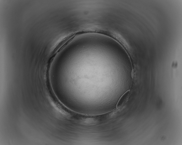 X0000093250058200710031613