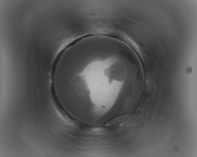 X0000093250059200710031613