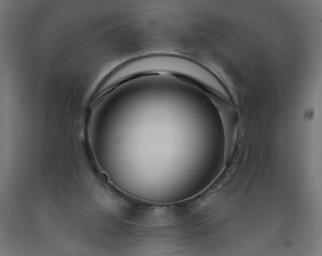 X0000093250060200710031613