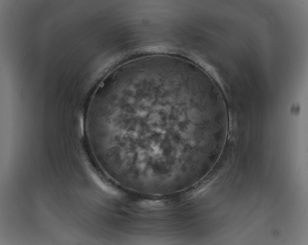 X0000093250061200710031613