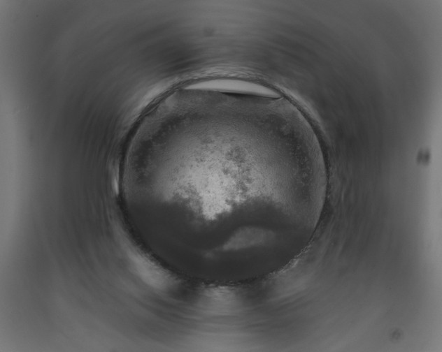 X0000093250062200710031613