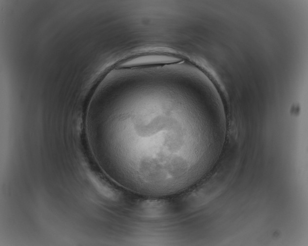 X0000093250063200710031613