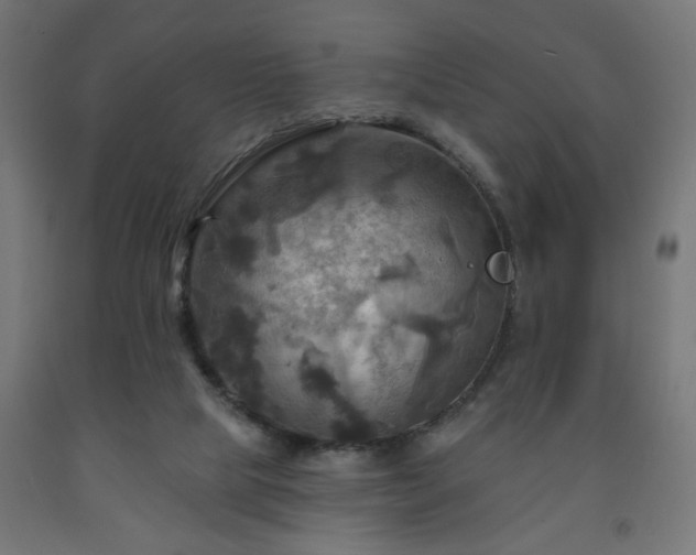 X0000093250065200710031613