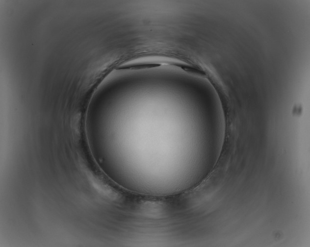 X0000093250066200710031613