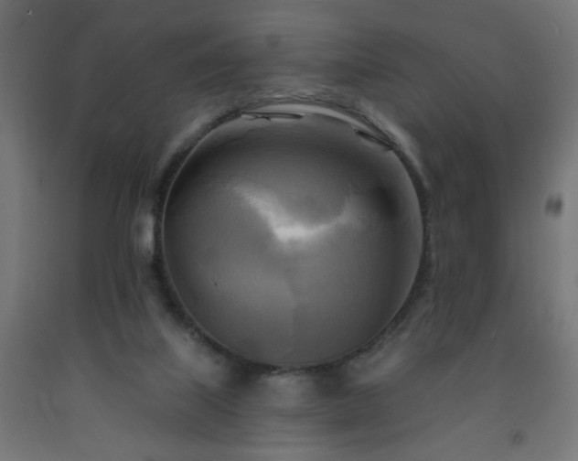 X0000093250067200710031613