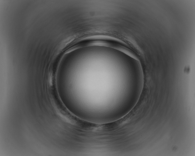 X0000093250068200710031613