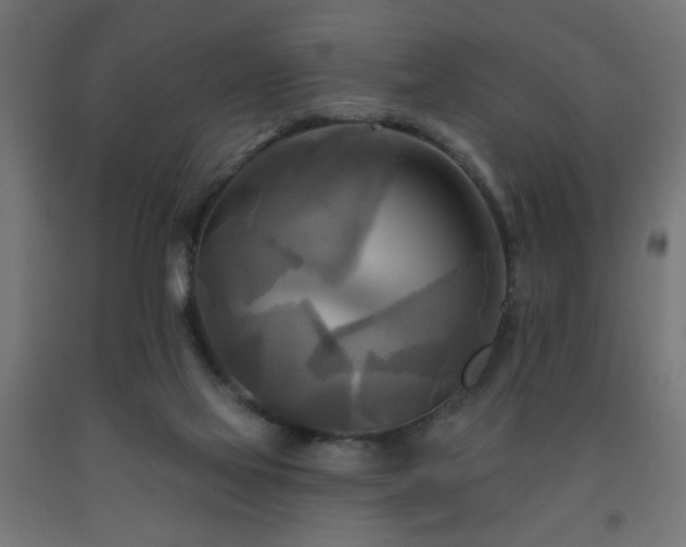 X0000093250069200710031613