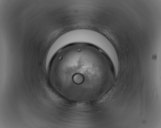 X0000093250070200710031613