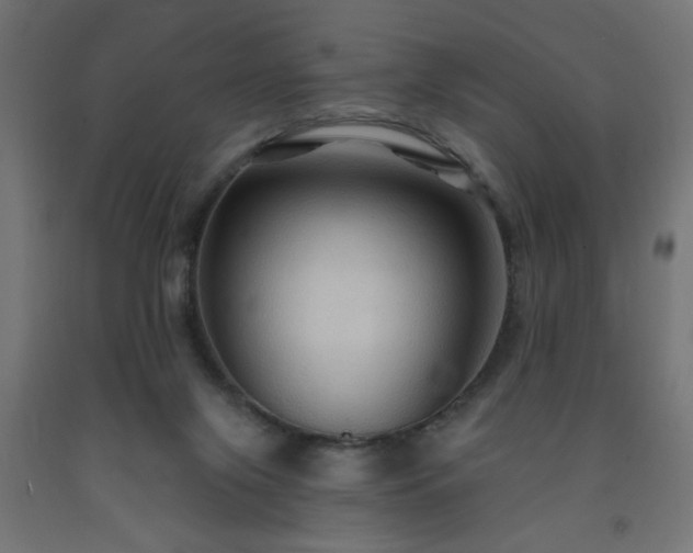 X0000093250071200710031613