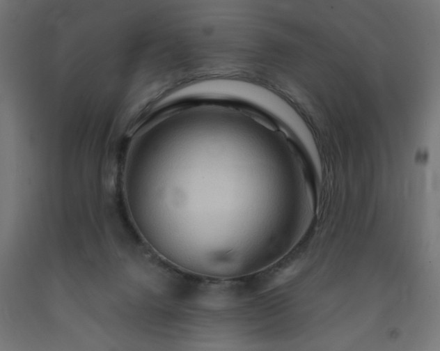 X0000093250072200710031613