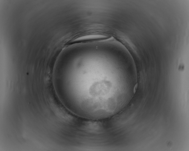 X0000093250073200710031613