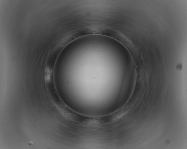 X0000093250075200710031613