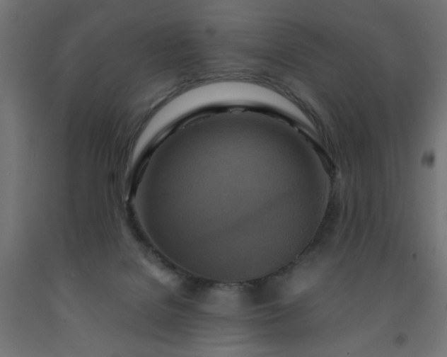 X0000093250076200710031613