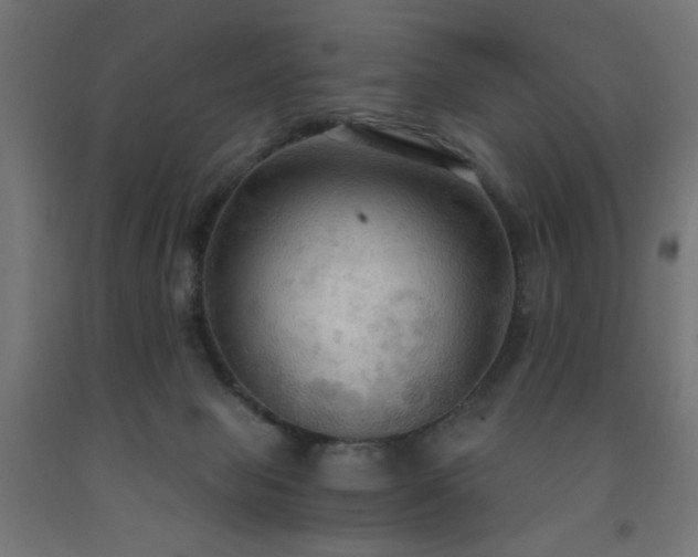 X0000093250077200710031613