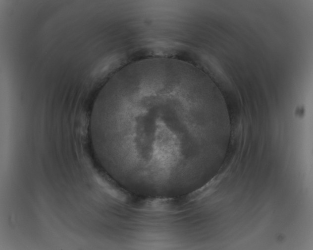 X0000093250078200710031613